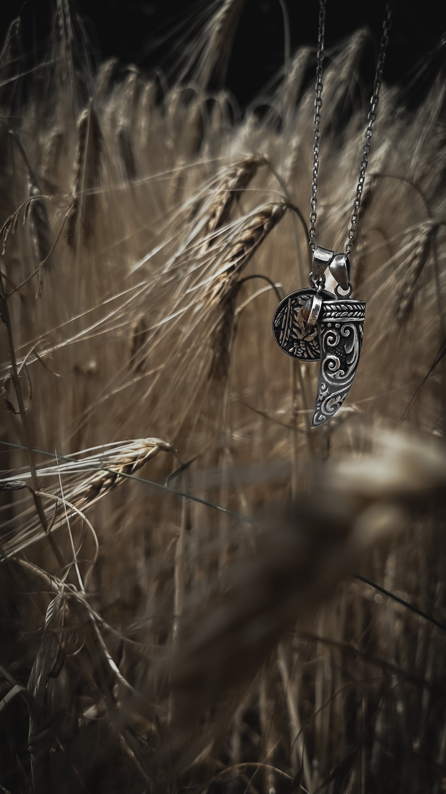 Bohemian Horn necklace